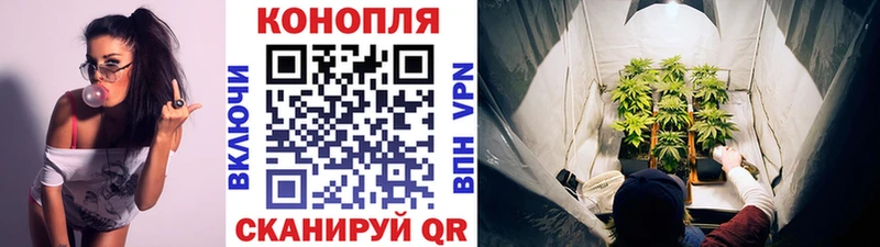 Магазины продажи наркотиков Новокубанск ГАШ Бошки Шишки Мефедрон